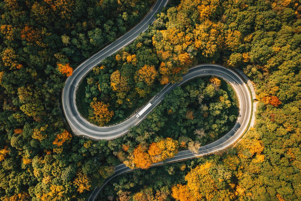 essentials-mobility-left.jpg Un carrello elettrico che guida su una strada tortuosa attraverso alberi in autunno